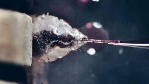 The Third Part of the Night