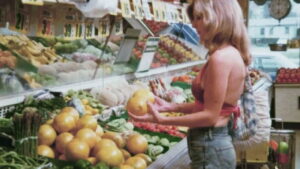 Summer School Teachers