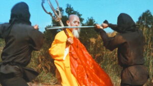 Shaolin vs. Ninja