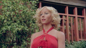 Erotic Adventures of Candy