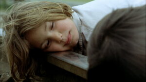 The Spirit of the Beehive