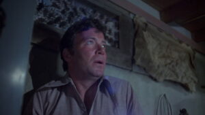 Kingdom of the Spiders