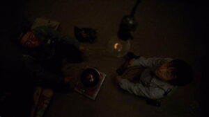 Barking Dogs Never Bite