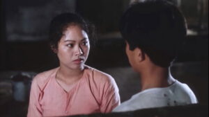 Nostalgia for the Countryside