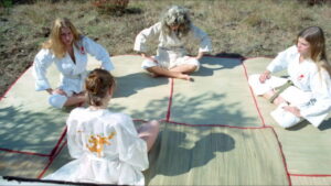 The Vixens of Kung Fu (A Tale of Yin Yang)