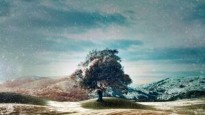 Who Do You Think You Are? (US)