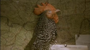 Conspirators of Pleasure