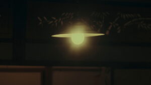 The Time to Live and the Time to Die