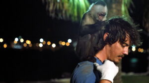 Who’s Your Monkey?