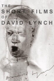 The Short Films of David Lynch