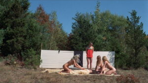 The Vixens of Kung Fu (A Tale of Yin Yang)