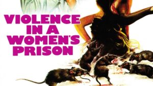 Violence in a Women’s Prison