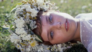 Chronicle of Amorous Accidents