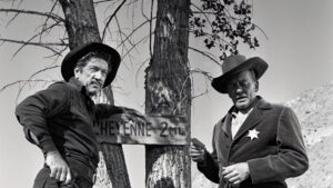 Have Gun, Will Travel