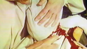 Bloodthirsty Butchers