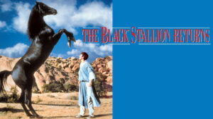 The Black Stallion Returns