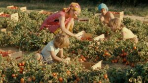 Will It Snow for Christmas?