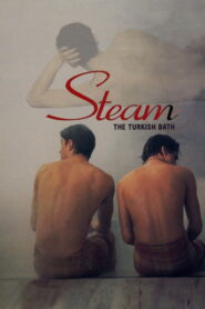Steam: The Turkish Bath