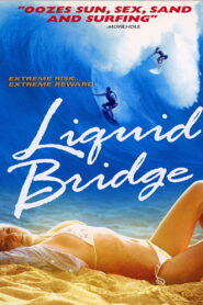 Liquid Bridge