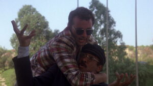 Where the Buffalo Roam