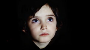 The Spirit of the Beehive