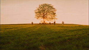 All My Good Countrymen