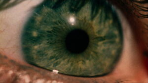 The Texas Chain Saw Massacre