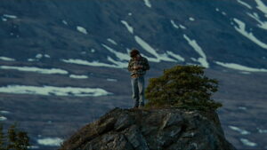 Into the Wild