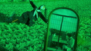 Pastoral: To Die in the Country