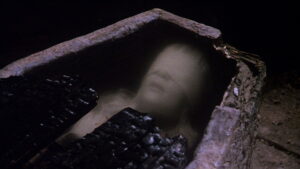 The Watcher in the Woods