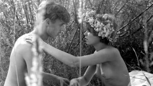 Chronicle of Amorous Accidents