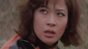 Stray Cat Rock: Delinquent Girl Boss