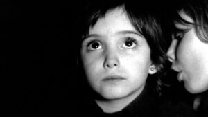 The Spirit of the Beehive