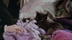 Blacker Than the Night