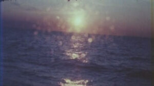 As I Was Moving Ahead, Occasionally I Saw Brief Glimpses of Beauty