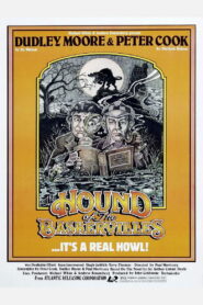 The Hound of the Baskervilles