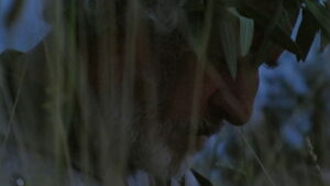 Honour of the Knights