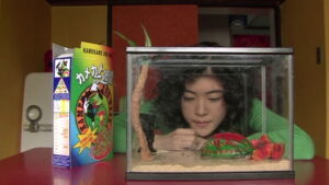 Turtles Are Surprisingly Fast Swimmers