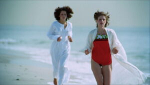 The Vixens of Kung Fu (A Tale of Yin Yang)