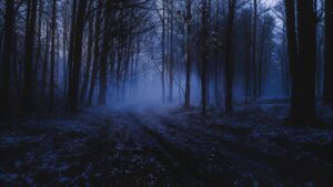 R.L. Stine’s The Haunting Hour: The Series