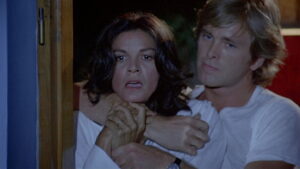 The Last House on the Beach