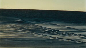 All My Good Countrymen