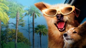 Dr. Dolittle: Million Dollar Mutts