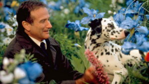 What Dreams May Come