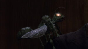 Night Train to Terror