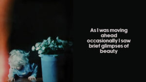 As I Was Moving Ahead, Occasionally I Saw Brief Glimpses of Beauty