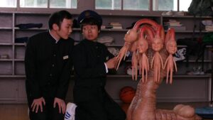 Funky Forest: The First Contact