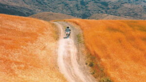 The Wind Will Carry Us