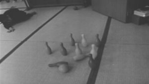 Minamata: The Victims and Their World