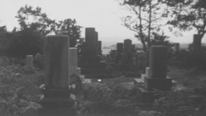 Minamata: The Victims and Their World